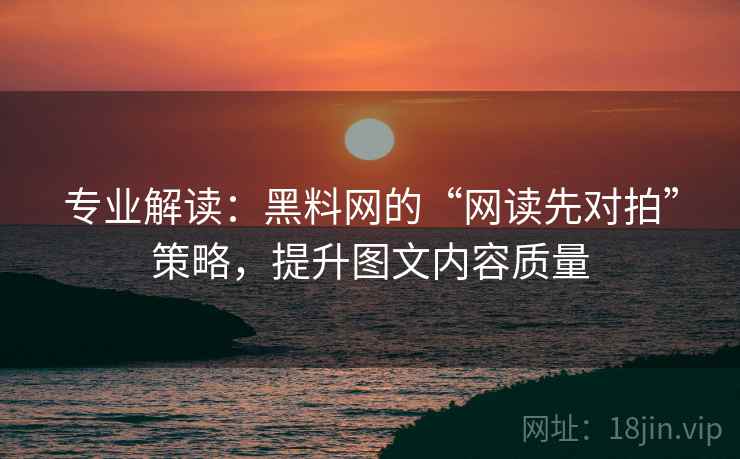 专业解读：黑料网的“网读先对拍”策略，提升图文内容质量