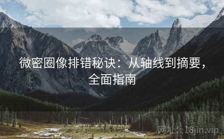 微密圈像排错秘诀：从轴线到摘要，全面指南